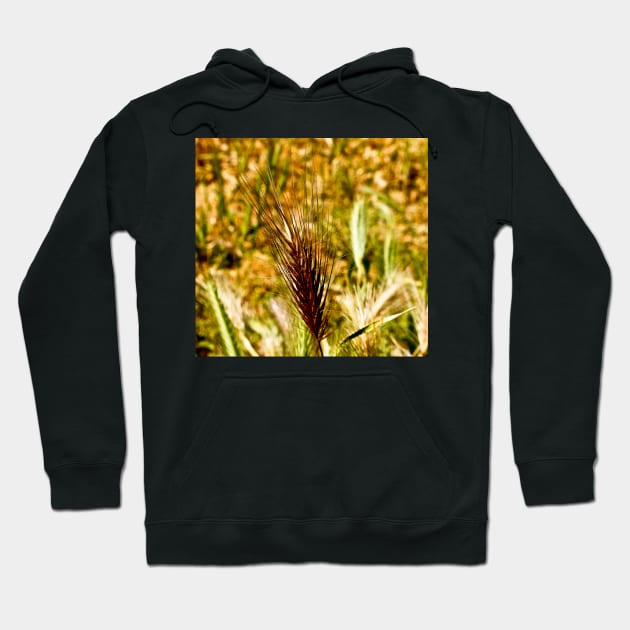 cli wheat Hoodie by pcfyi